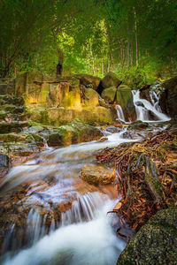 Stream flowing through rocks in forest