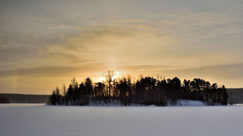 Trees on snow field against sky during sunset