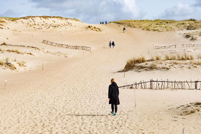 Rear view of people walking on beach