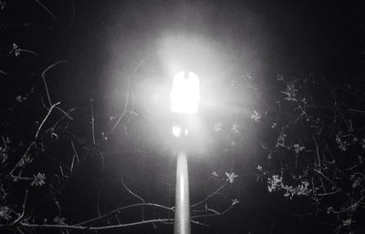 Low angle view of illuminated lamp post at night