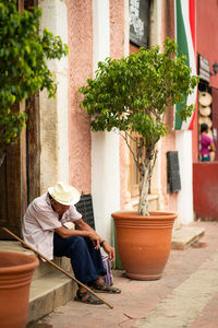 Rear view of old man sitting by plants