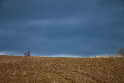 Agricultural field against sky