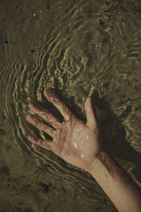 High angle view of hand below water surface at beach