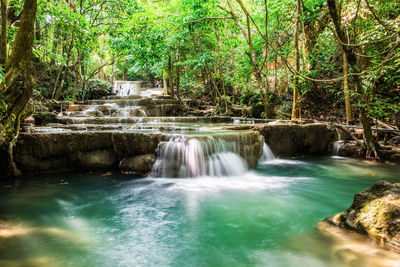 Scenic view of waterfall in forest