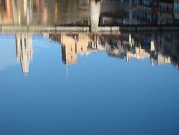 Reflection of trees in water