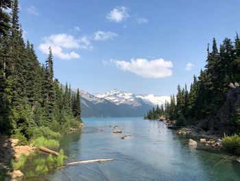 Scenic view of lake in forest against sky
