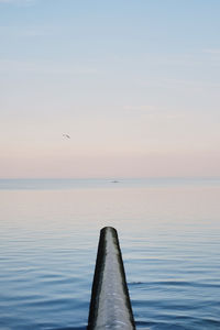 View of bird flying over sea against sky