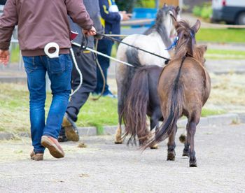 Low section of men walking with horses