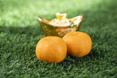 Close-up of orange fruit on grass