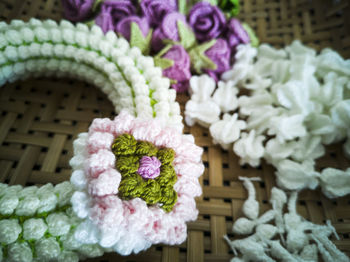 Close-up of pink flowering plants