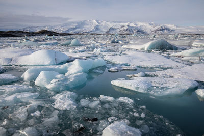 Aerial view of frozen landscape