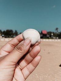 Cropped hand holding seashell at beach