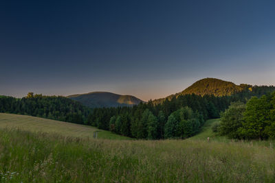 Scenic view of field against clear sky