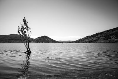 Scenic view of lake against clear sky