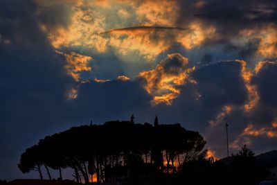 Low angle view of silhouette trees against sky at sunset