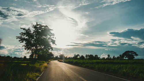 Road amidst trees on field against sky