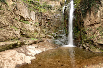 Scenic view of waterfall in forest