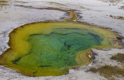 Close-up of water on landscape