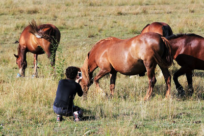 Man photographing horses