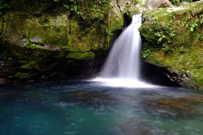 Scenic view of waterfall in forest