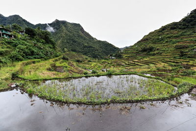 0183 the batad village cluster of the rice terraces of the philippine cordilleras. banaue-luzon-ph.