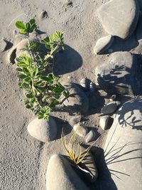 High angle view of shoes on sand