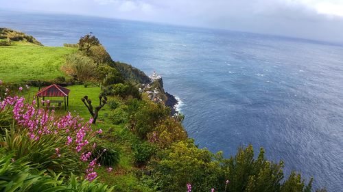 High angle view of plants by sea against sky