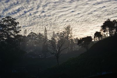 Scenic view of silhouette trees against sky during sunset