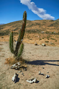 Scenic view of land against sky