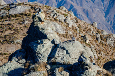 Shadow of man on rock
