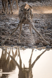 Scenic view of lake in desert