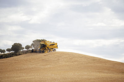 Distant industrial combine harvester collecting dried grain crops while driving on agricultural field with tree in countryside during harvesting season