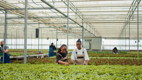 People in greenhouse