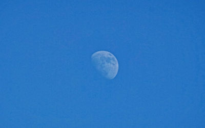 Low angle view of moon against blue sky