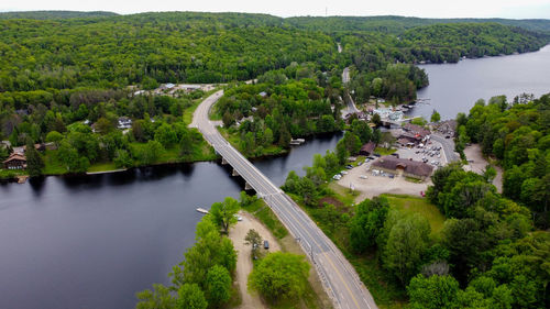 High angle view of road amidst trees