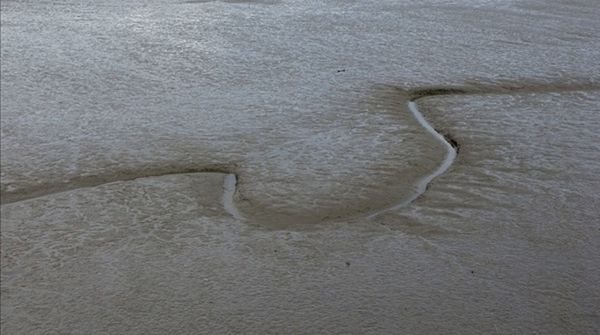 Graphic marks in the mud bank woodbridge natural marks documentary reportage photography photographs taking photos my point of view