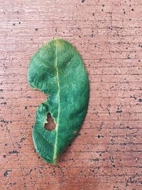 High angle view of green leaves on table