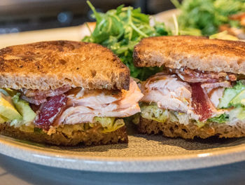 Close-up of served food in plate