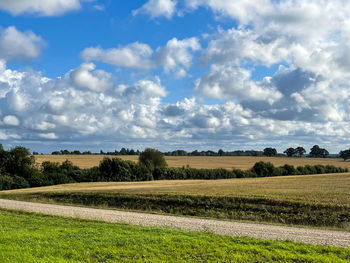 Scenic view of field against sky