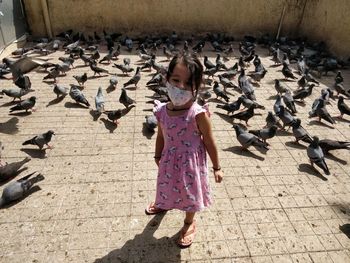 Full length of woman on birds