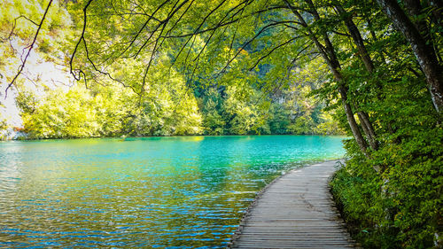 Scenic view of lake amidst trees