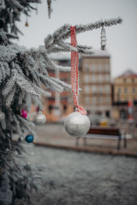 Close-up of christmas tree