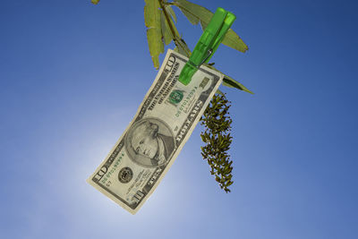 Low angle view of paper currency hanging from tree against sky