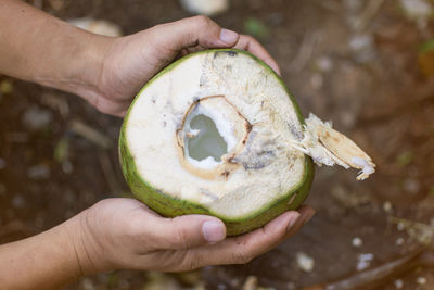 Close-up of hand holding fruit