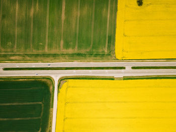 Full frame shot of yellow wall