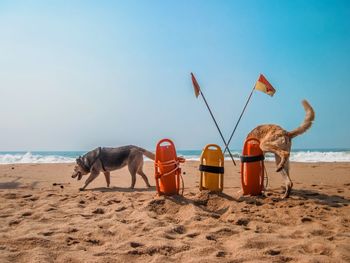 Sunny beach against clear sky