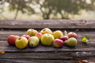 Close-up of apples on table