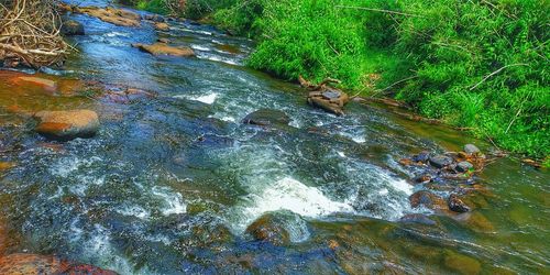 High angle view of river flowing through rocks in forest