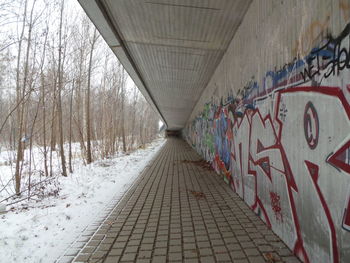 Footpath leading to tunnel