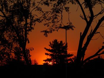 Low angle view of silhouette trees against orange sky